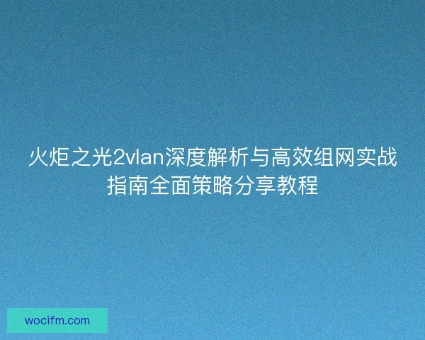 火炬之光2vlan深度解析与高效组网实战指南全面策略分享教程